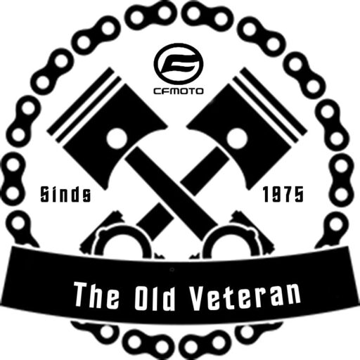 Frisian Rider